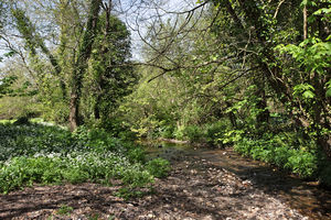 Photo 12- click for photo gallery